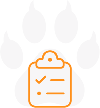 Tiger Paw Safety Systems Inc. Tiger Paw Safety Systems Inc.